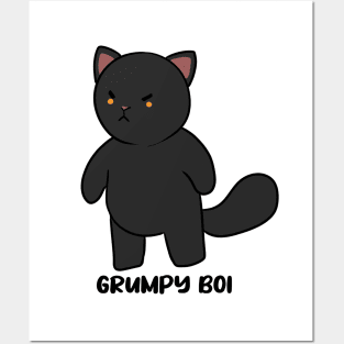 Grumpy Boi Posters and Art